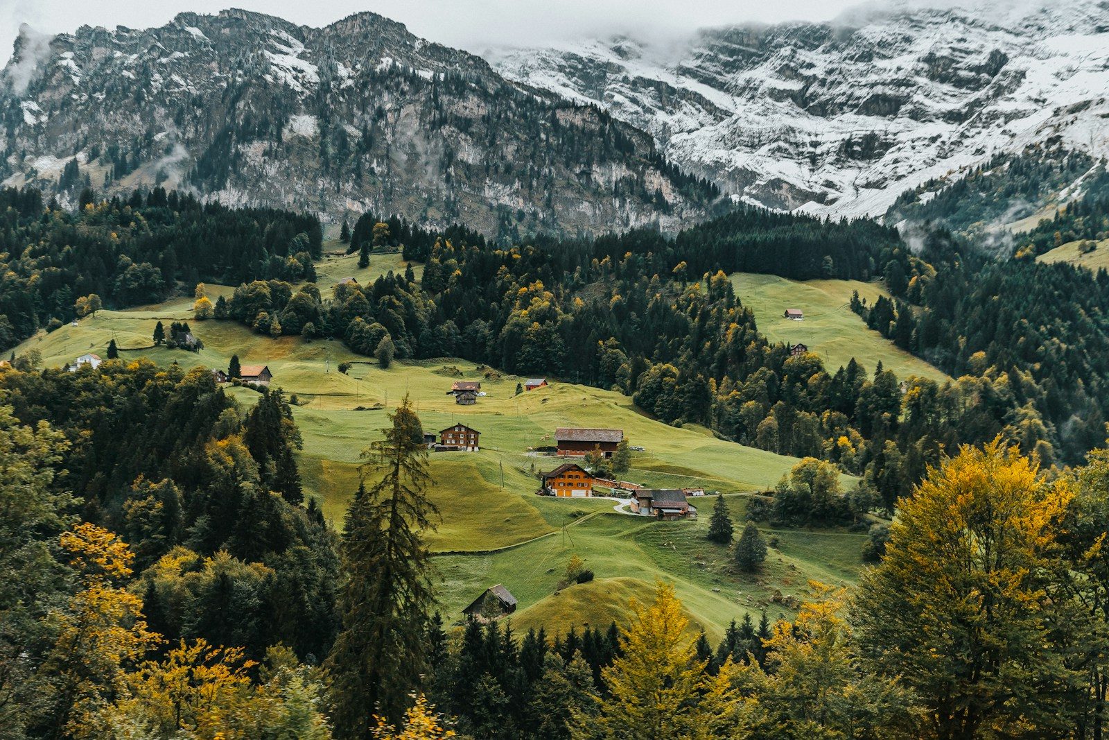 aerial photography of houses on green hill